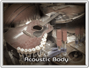Acoustic Body