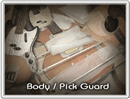 Body / Pick Guard