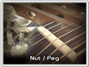 NUT / PEG
