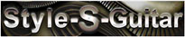 Style-S-Guitar �Хʡ� 200��40